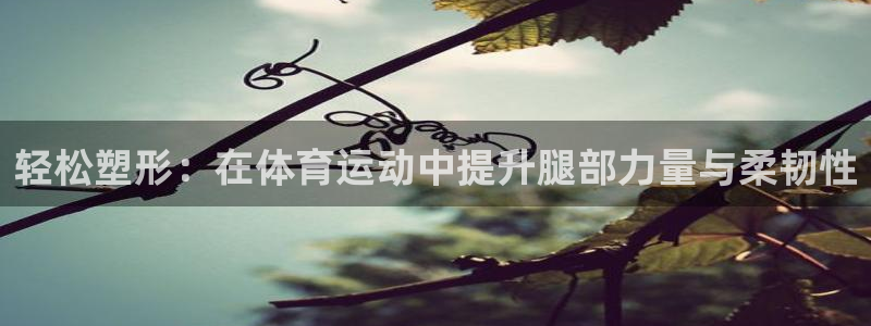 球客岛：轻松塑形：在体育运动中提升腿部力量与柔韧性