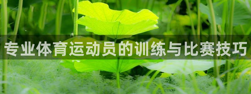 球客岛：专业体育运动员的训练与比赛技巧
