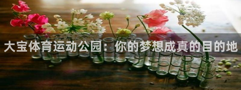 球客岛：大宝体育运动公园：你的梦想成真的目的地