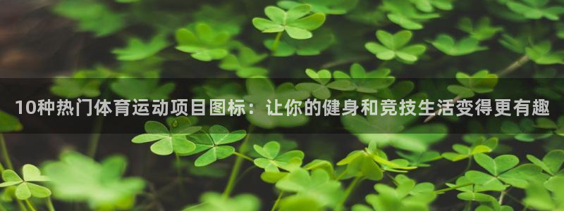 球客岛：10种热门体育运动项目图标：让你的健身和竞技生活变得更有趣