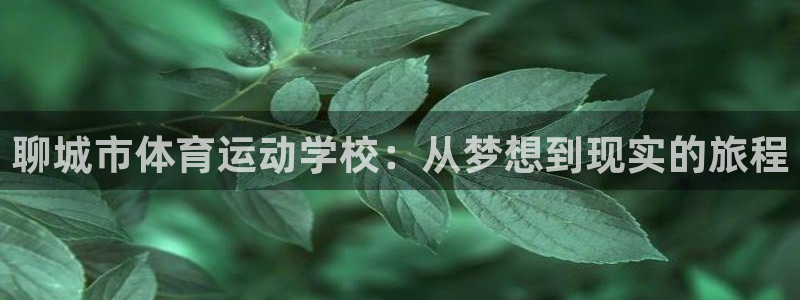 球客岛：聊城市体育运动学校：从梦想到现实的旅程