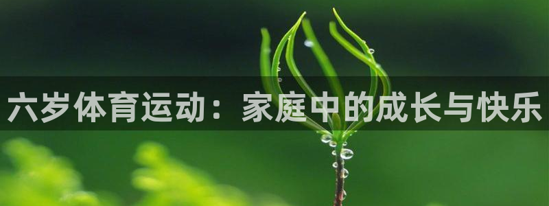 球客岛：六岁体育运动：家庭中的成长与快乐