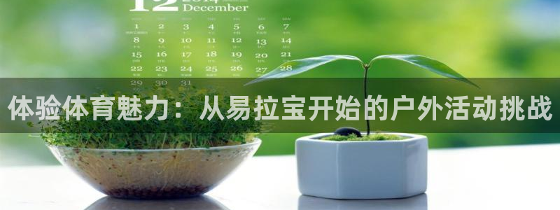 球客岛：体验体育魅力：从易拉宝开始的户外活动挑战